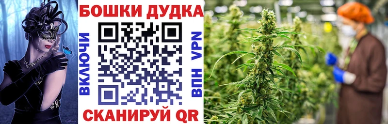 Купить наркотик Завитинск Кокаин Псилоцибиновые грибы Гашиш