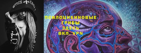 меф Арсеньев