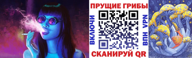 Псилоцибиновые грибы Cubensis Завитинск